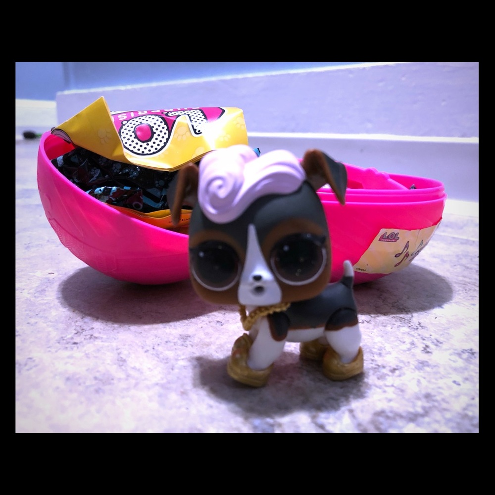 LOL Surprise Pets Series 3 “DJ K9”